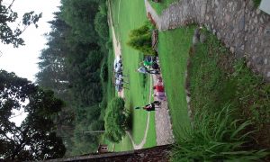 Mamyčių stovykla Gervių kaime