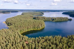 žygis sveikatingumo