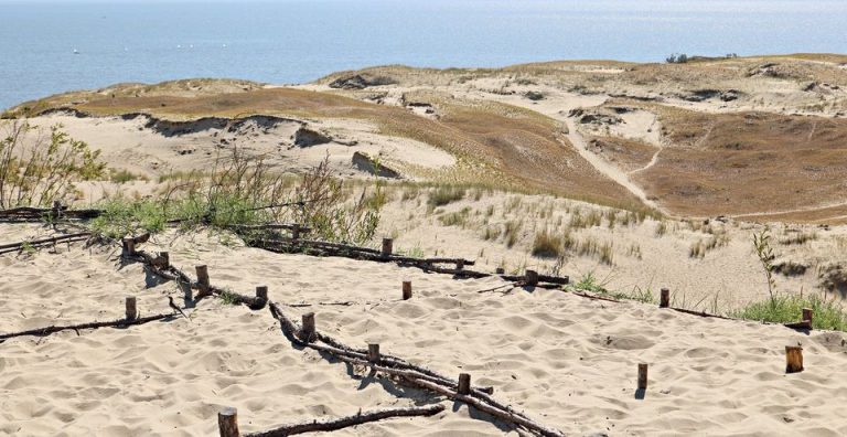 STOVYKLOS! Sveikatingumui ir lieknėjimui - Image 3