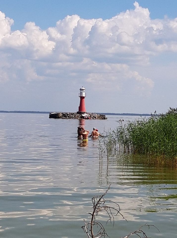 STOVYKLOS! Sveikatingumui ir lieknėjimui - Image 8