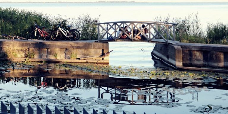 STOVYKLOS! Sveikatingumui ir lieknėjimui - Image 11