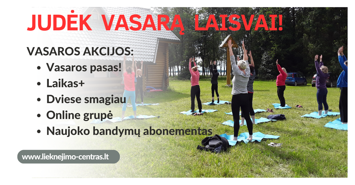 Vasaros abonementai - Image 2